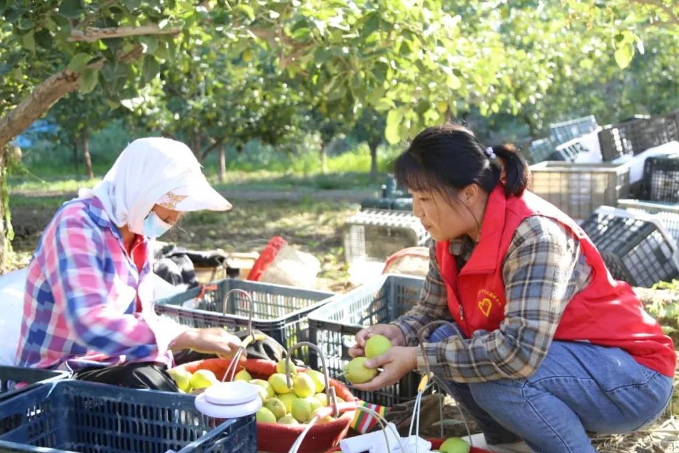 f762aecf1e1a458ca0e2689d96378a8d.jpg f762aecf1e1a458ca0e2689d96378a8d.jpg