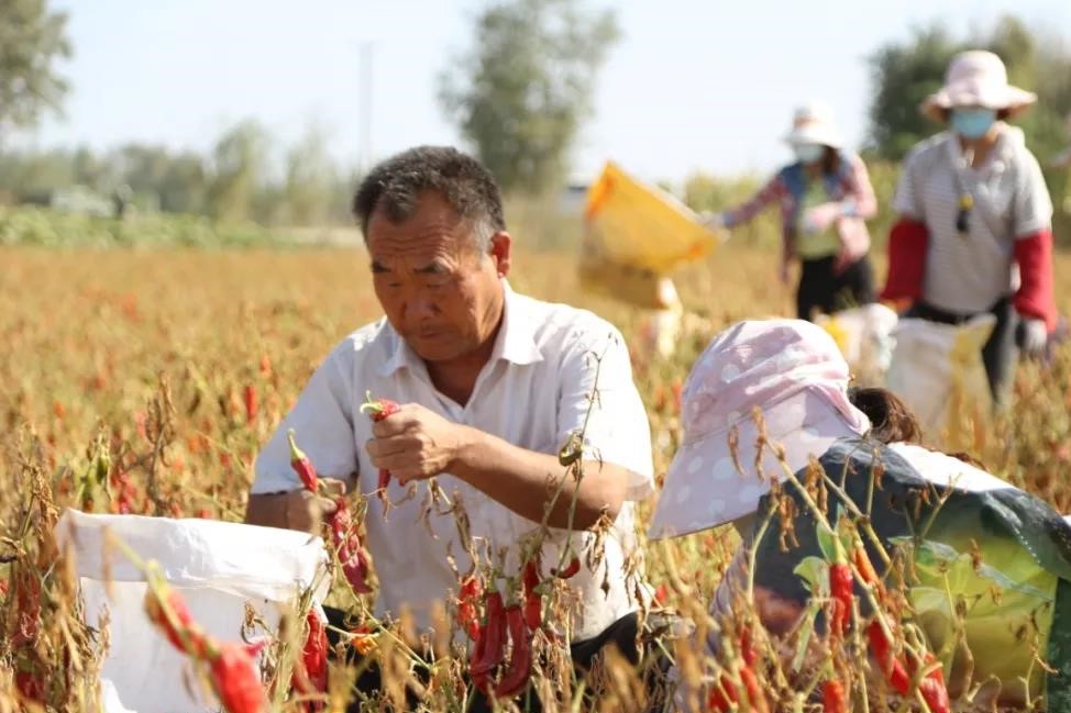 2fdd84d2b018429790a3339500fc9b65.jpg 2fdd84d2b018429790a3339500fc9b65.jpg