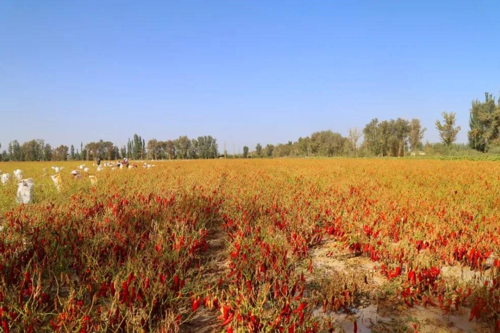 401c82f23e304762bb813d592a48c8df.jpg 401c82f23e304762bb813d592a48c8df.jpg