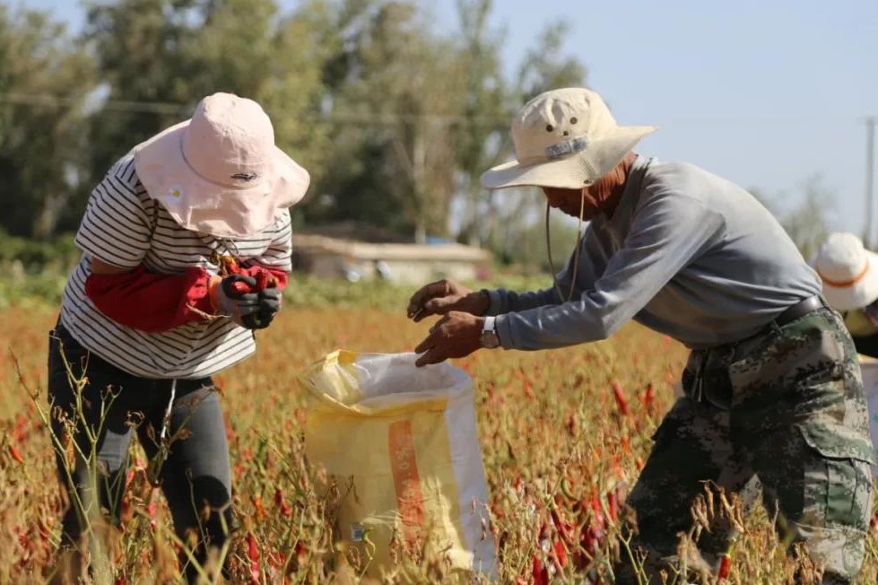 f7af919cf1184daebf72d981937cc16e.jpg f7af919cf1184daebf72d981937cc16e.jpg