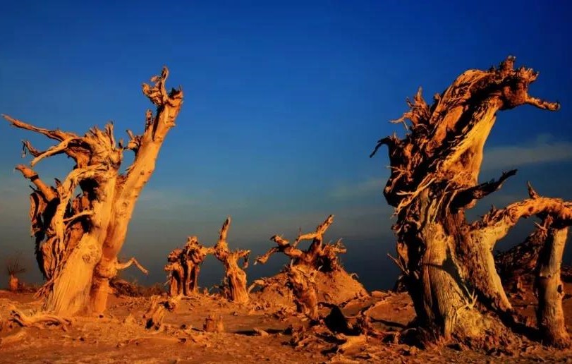 29da1c4d5cc640e7a0d73b259bd555fa.jpg 29da1c4d5cc640e7a0d73b259bd555fa.jpg