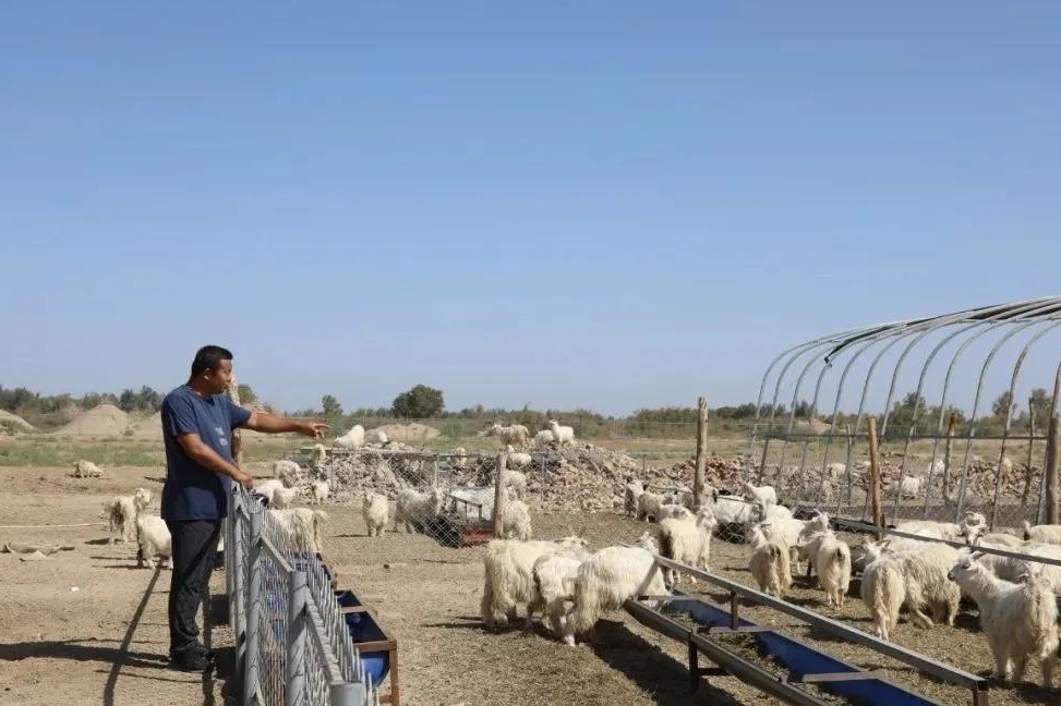 47a1b7d74aa84d7cbea69fb0d51f5113.jpg 47a1b7d74aa84d7cbea69fb0d51f5113.jpg