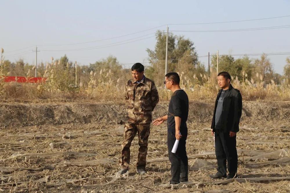 e6a72e1f5f4d4dfbbd6a5937a751e7f4.jpg e6a72e1f5f4d4dfbbd6a5937a751e7f4.jpg