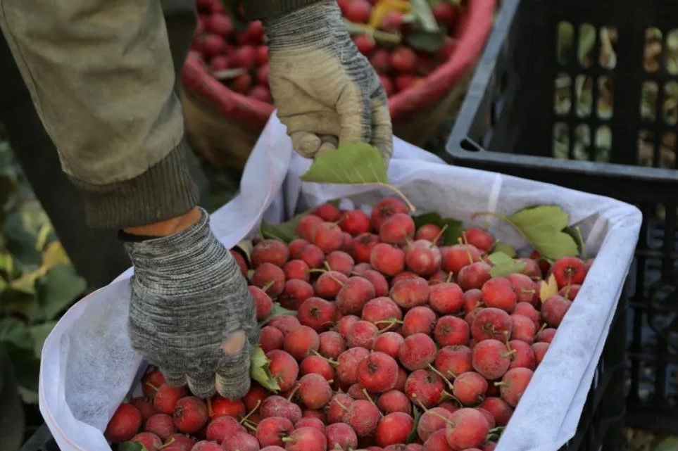 0a953de8de5e43d4994dfc3536ccd49f.jpg 0a953de8de5e43d4994dfc3536ccd49f.jpg