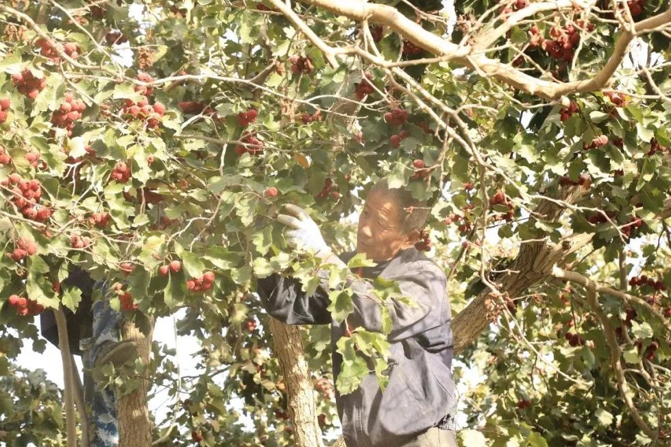 392b84b649014708b685534951315110.jpg 392b84b649014708b685534951315110.jpg