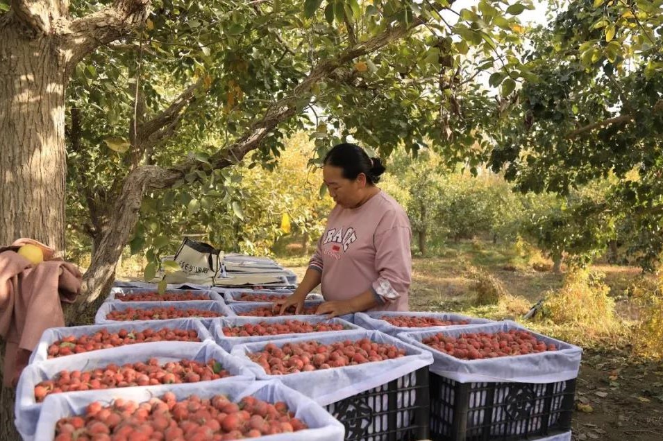 3bce6fa7848d48c493ebd5cbecdbdc66.jpg 3bce6fa7848d48c493ebd5cbecdbdc66.jpg