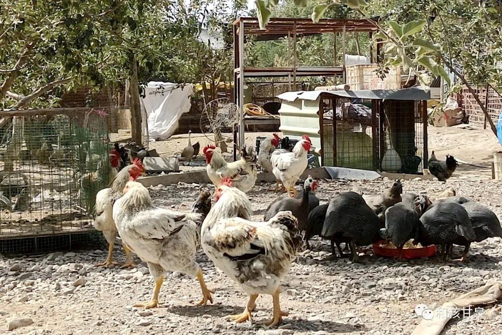 2b29e075896e45a1b36067823abad82d.jpg 2b29e075896e45a1b36067823abad82d.jpg