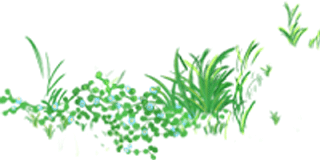 eb47f5e097ae4be3b069521630aaf784.Png