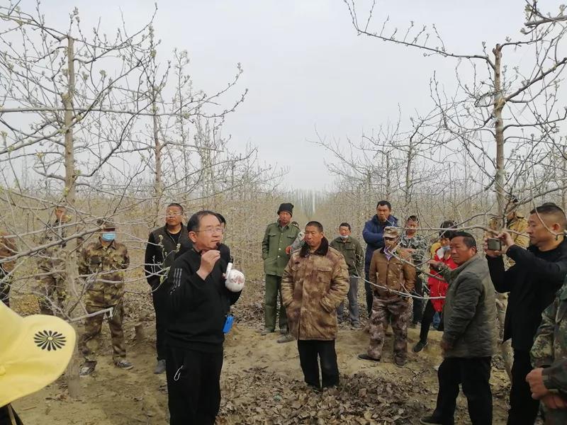 现场教学 悉心指导 助力果农实现增产增收