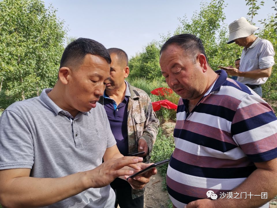 科普服务惠农 助推团场林果业发展