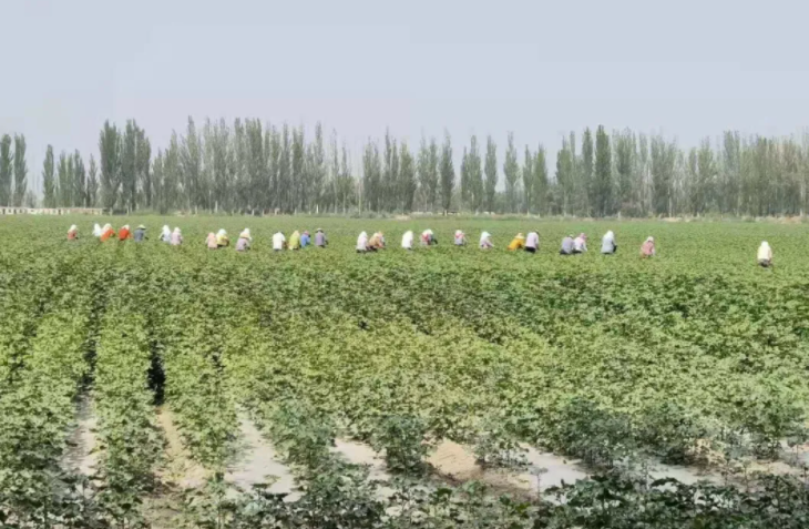 5b8361bcb97b4fc6b49a632cadce8d48.png 5b8361bcb97b4fc6b49a632cadce8d48.png