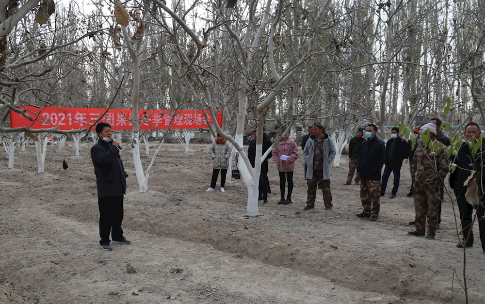 0e4a787835374f8bbe5d07492723e73c.png 0e4a787835374f8bbe5d07492723e73c.png