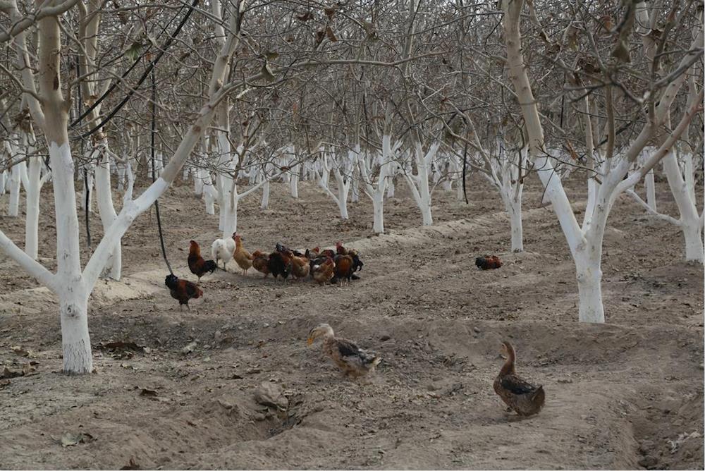 24913a13b23546d4bc444116baebec16.jpg 24913a13b23546d4bc444116baebec16.jpg