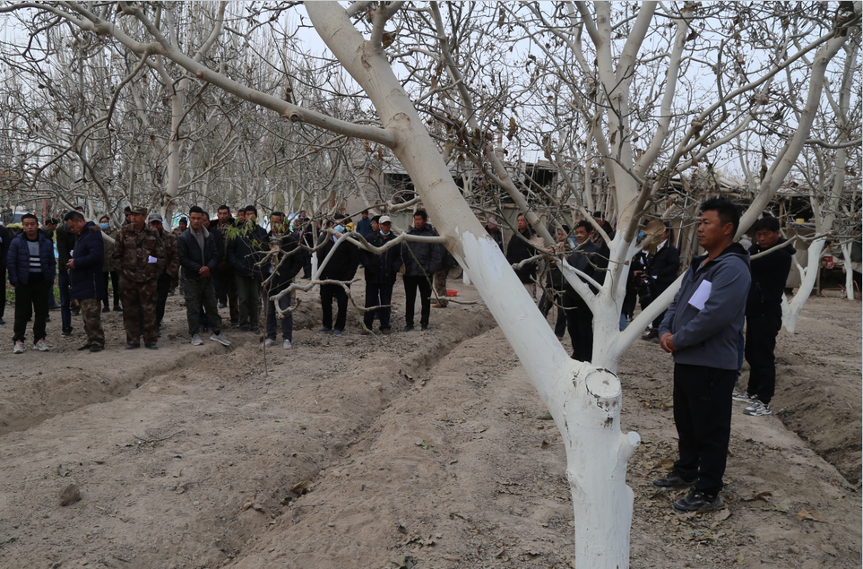 b5b2639ab3034612a28349787cd72e40.png b5b2639ab3034612a28349787cd72e40.png