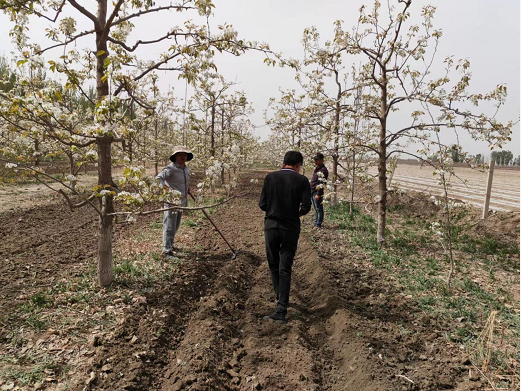 09bfd951dd5144d8bcf95c16a1ad68f6.png 09bfd951dd5144d8bcf95c16a1ad68f6.png