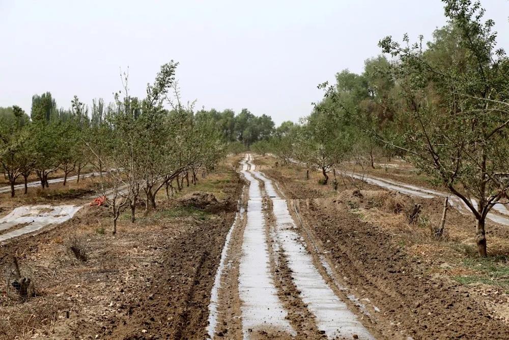 d68c85787c6245088a9ad804ed91cd45.jpg d68c85787c6245088a9ad804ed91cd45.jpg