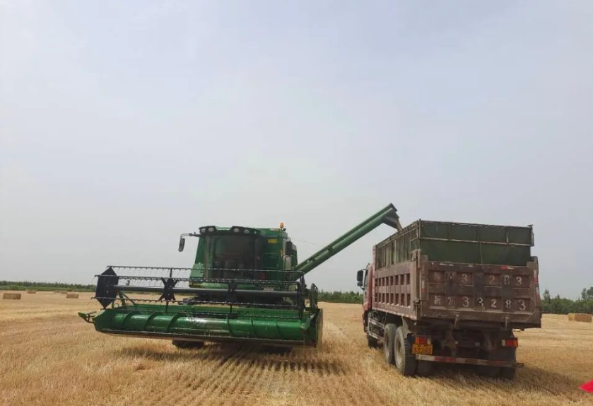 01ba279b320349a78bc7b06c22602ae6.png 01ba279b320349a78bc7b06c22602ae6.png