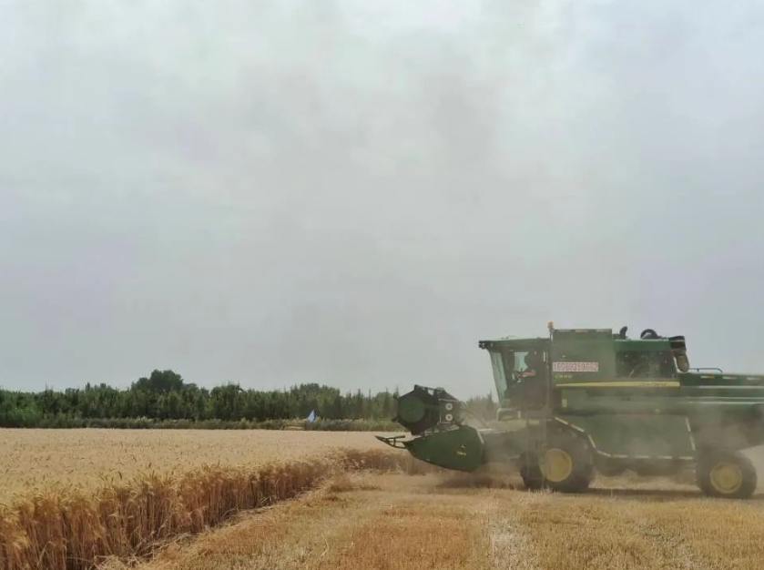 0f15991856634b39ace55694cb209401.png 0f15991856634b39ace55694cb209401.png