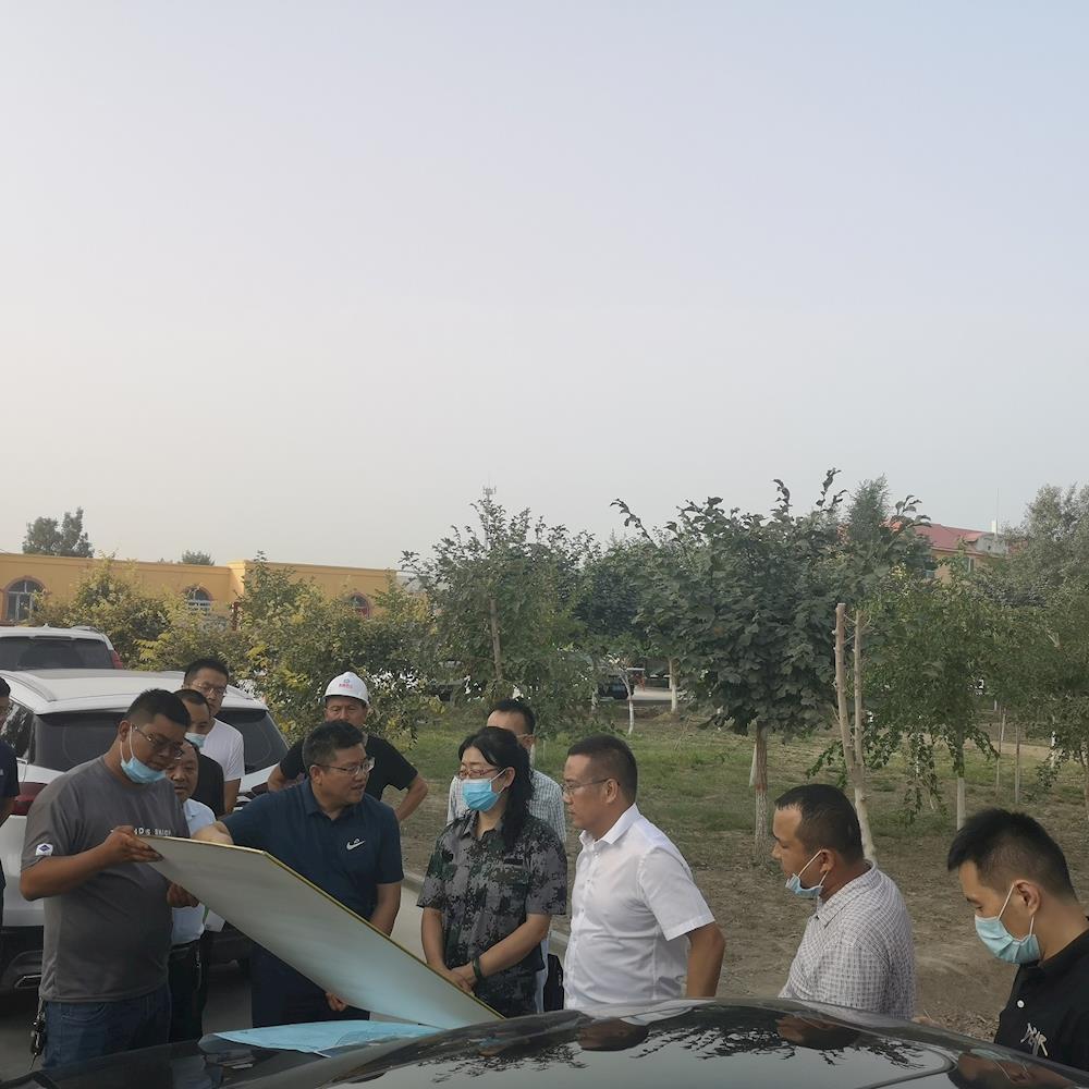 师市领导调研连队人居环境整治工作