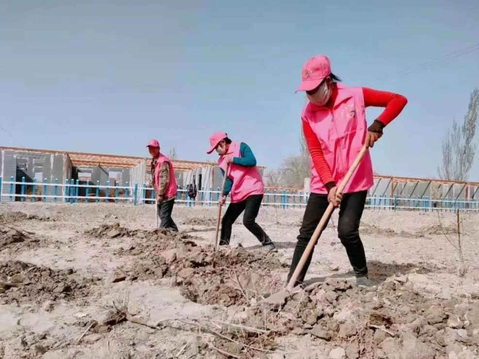 十四团九连开展“巾帼绿色行动，创建美好家园”义务植树活动