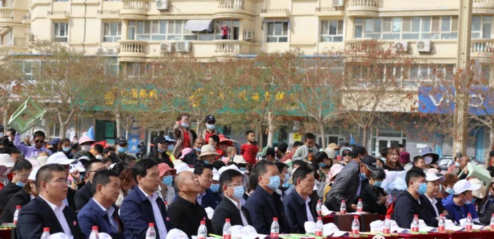 阿拉尔市第三届沙漠樱花旅游文化节正在进行中