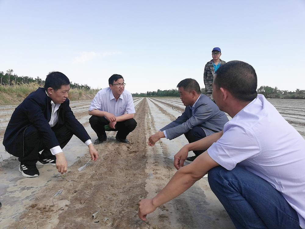 第一师阿拉尔市党委常委、副师长胡三虎赴二团、三团核查灾情