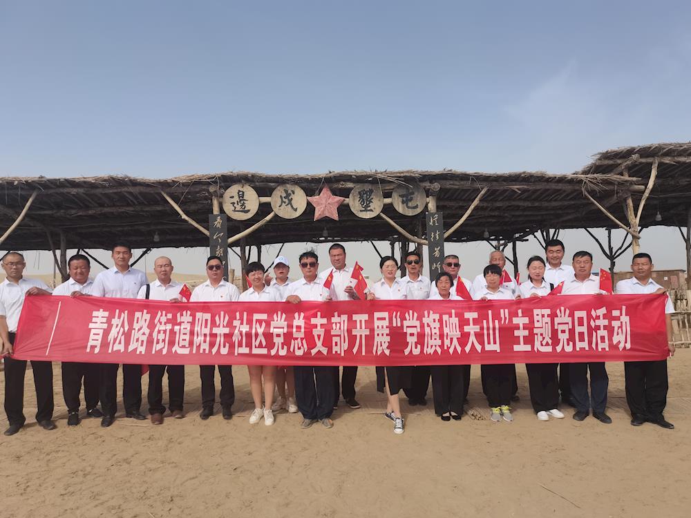 阳光社区党总支开展迎“七一”庆祝中国共产党成立100周年“党旗映天山”主题党日活动