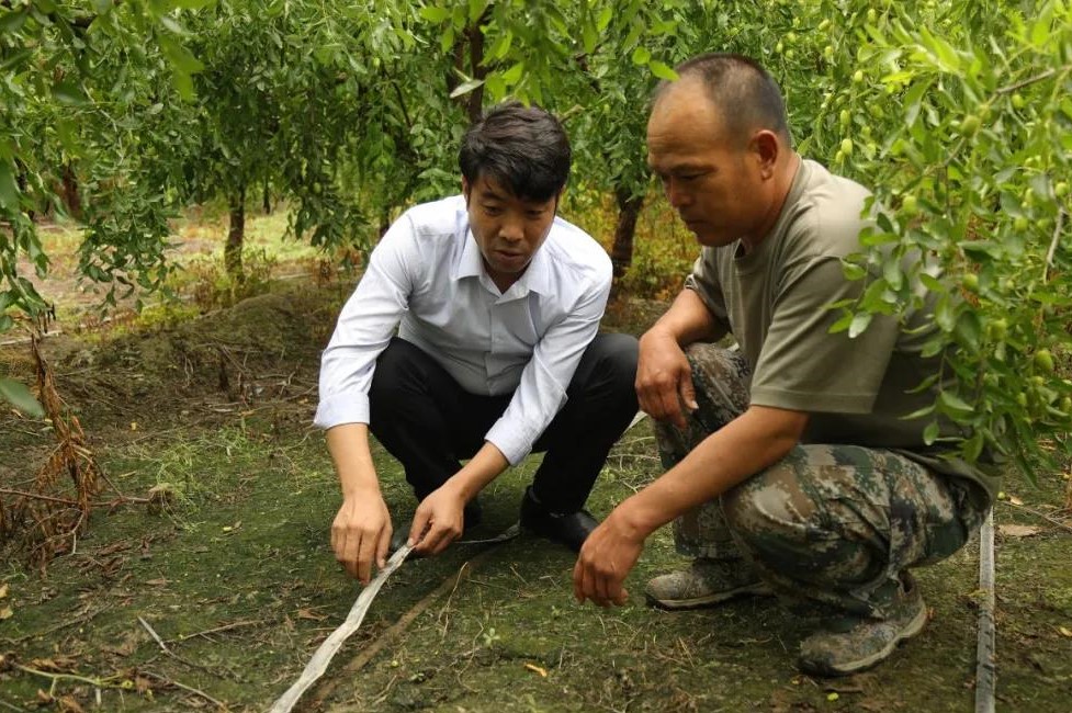 十四团：发展绿色生态循环农业 助推乡村产业振兴