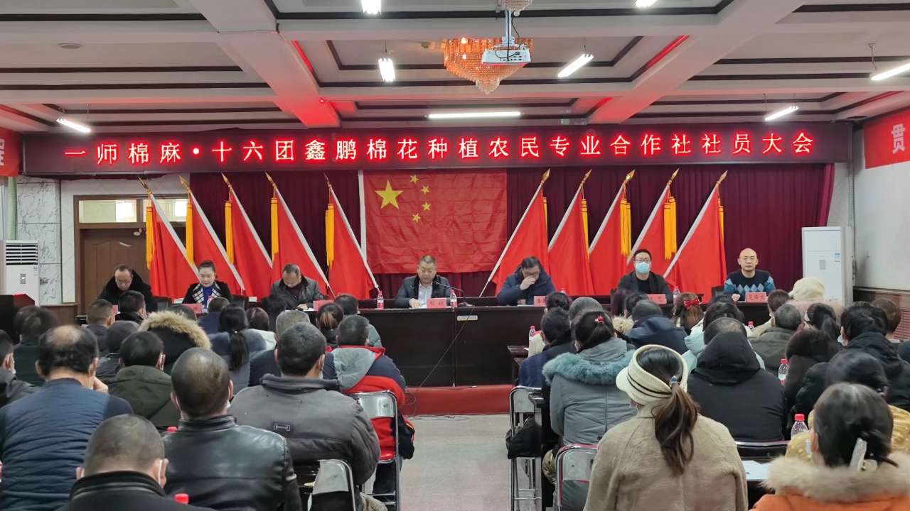 鹏鑫棉业合作社为社员发放补贴