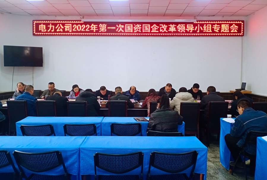 电力公司召开2022年第一次国资国企改革领导小组专题会