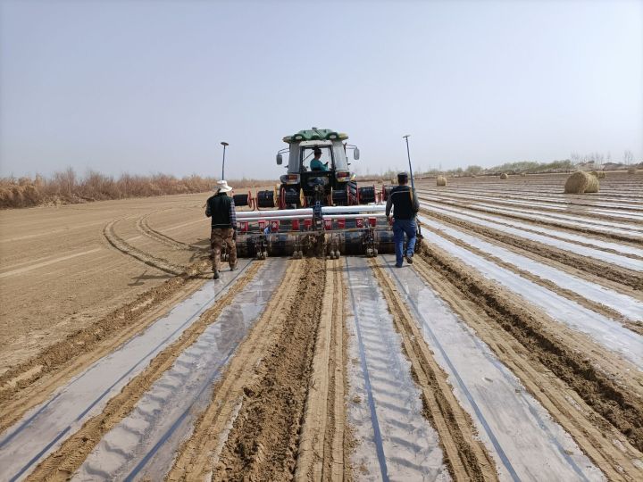 【我为群众办实事】鹏锦棉业用实际行动助推春耕春播