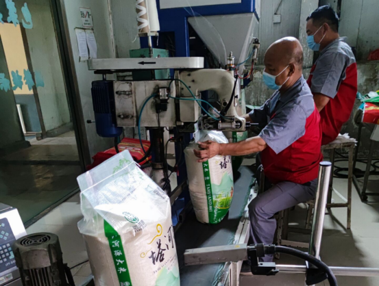 天山雪米马不停蹄促生产,确保师市粮食供应