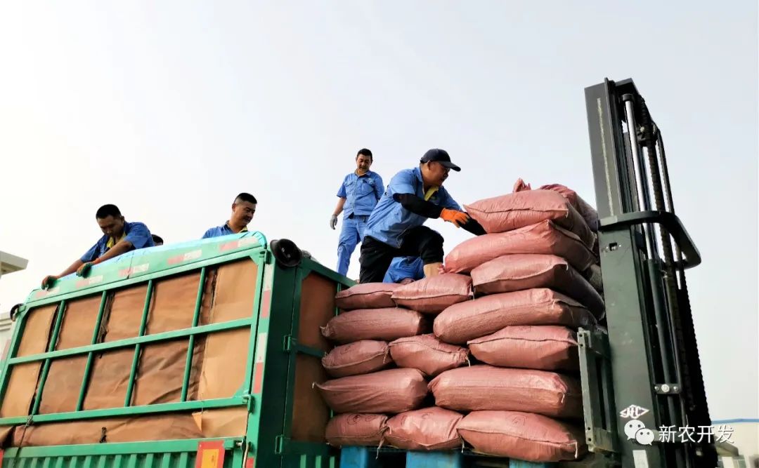 新农甘草公司党支部:主题党日 助力生产经营