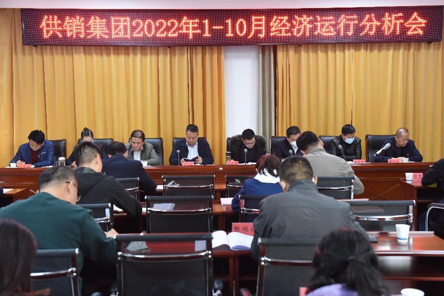 供销集团公司召开2022年1-10月经济运行分析会