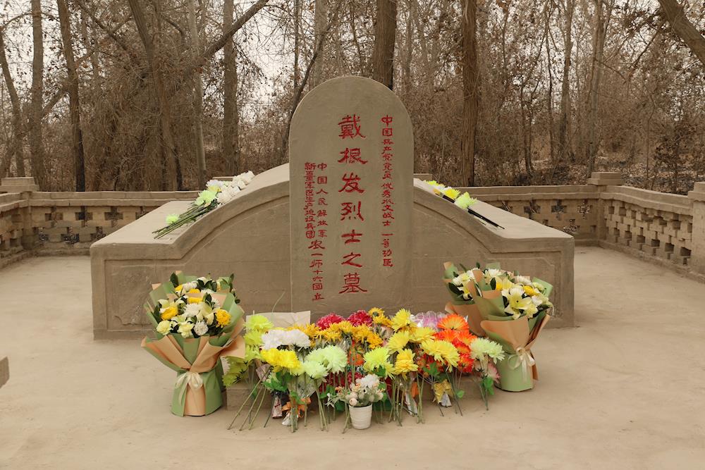 让青春在塔里木河闪闪发光