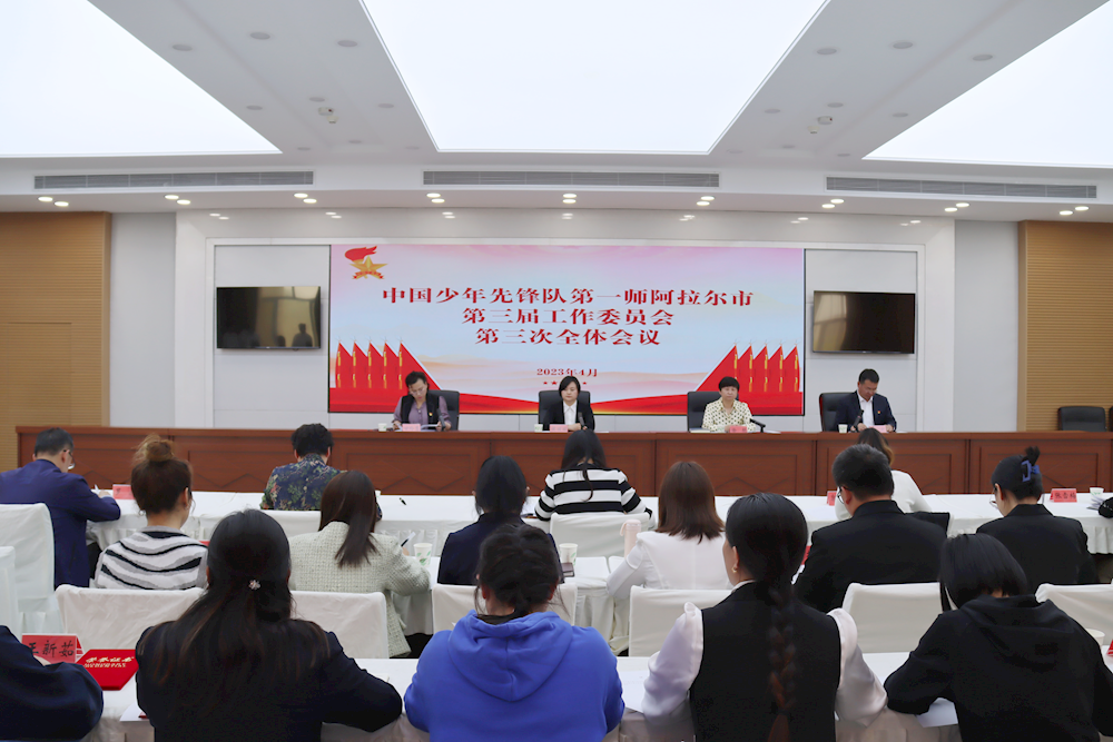 师市少工委第三届工作委员会第三次全体会议顺利召开