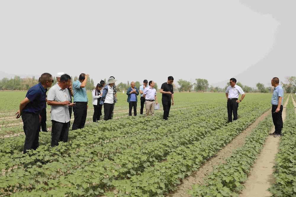 党建引领|十二团召开2023年第二季度党建引领经济高质量发展、促乡村振兴现场会