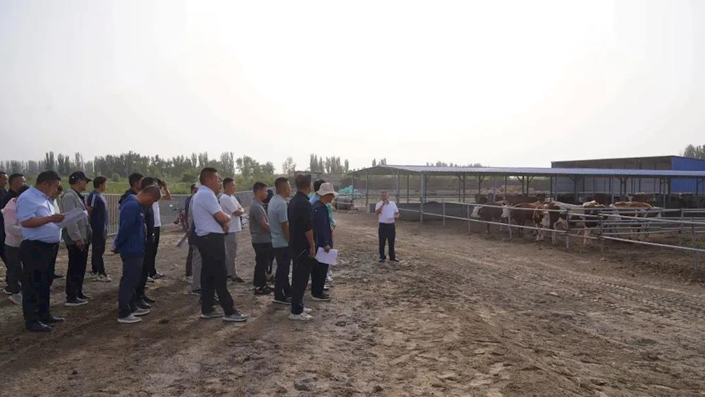 观摩评比促提升 创新争先谋发展 | 十一团开展2023上半年高质量发展观摩会