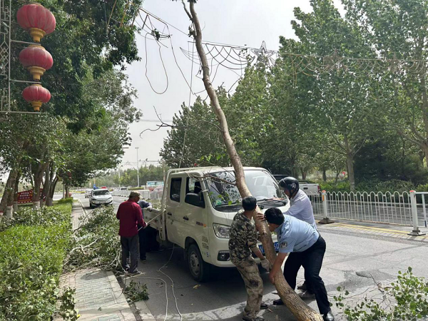 树木倾倒阻道路 民警清理保畅通
