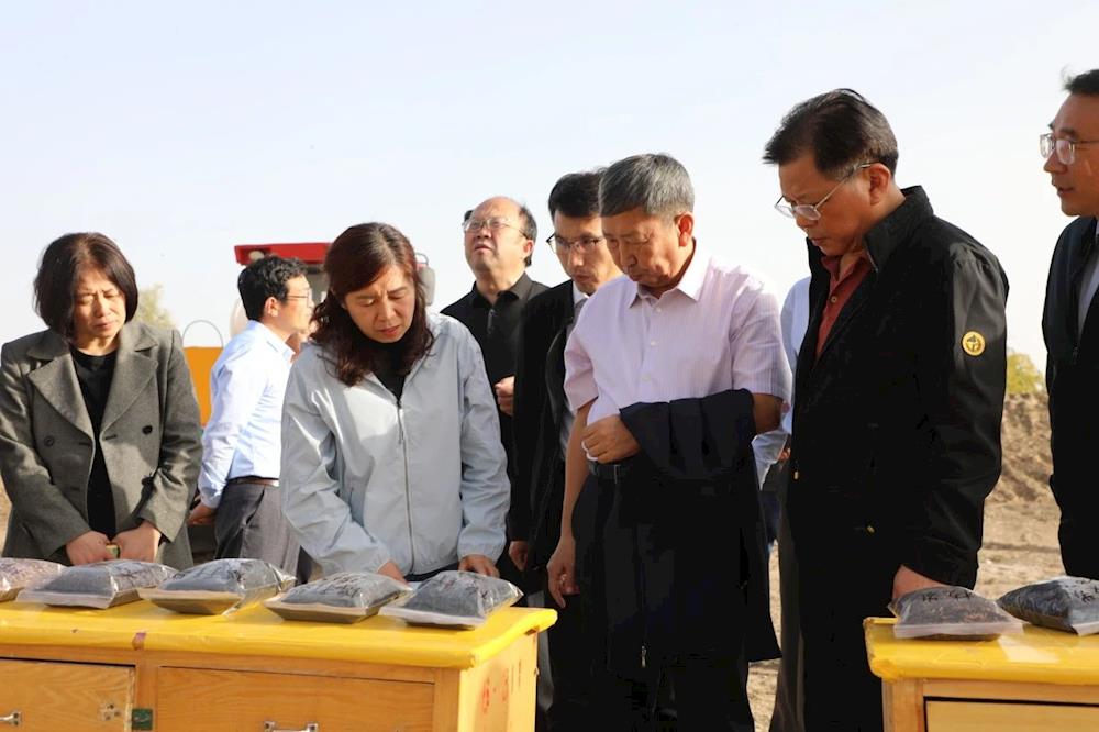 十一团引进农林剩余物多联产技术 助力绿色农业发展