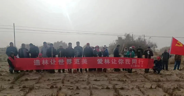 十二团开展2023年秋季阿沙公路段义务植树活动