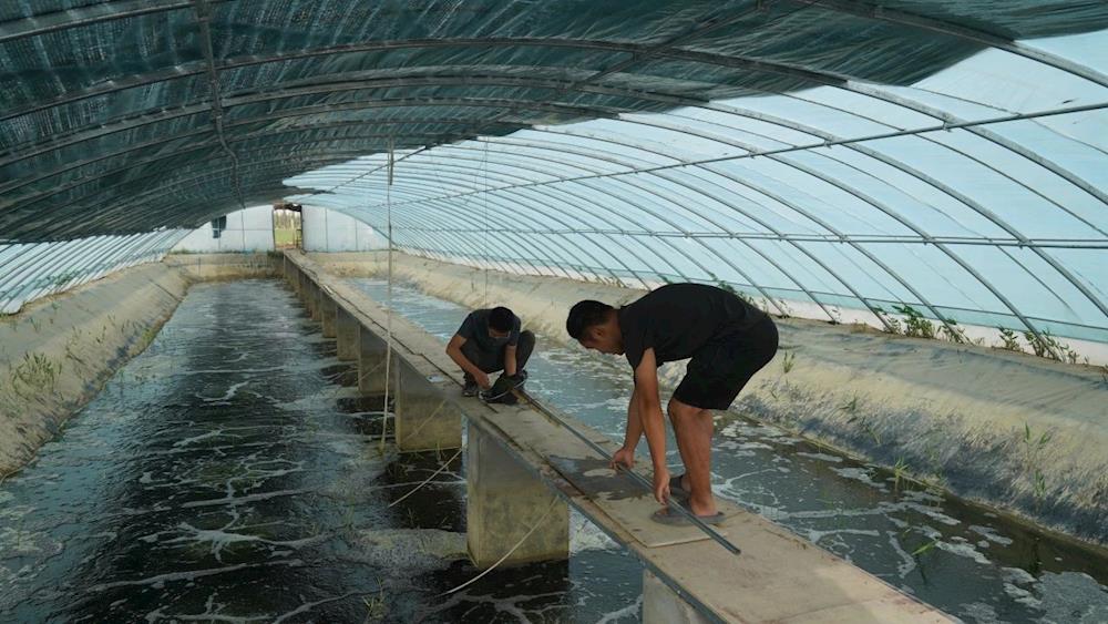 乡村振兴丨产业引领奏响乡村振兴“进行曲”