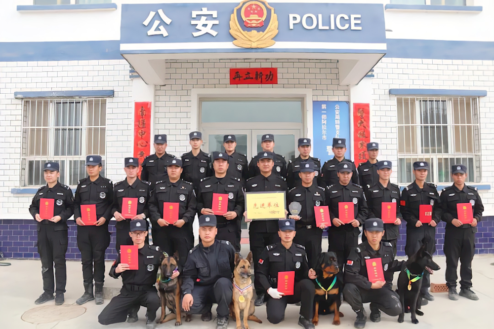 喜报！一师公安警犬技术工作获公安部表彰 1集体1个人1警犬获殊荣