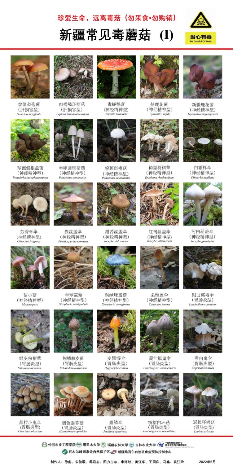 关于近期食用野生毒蘑菇、植物中毒风险提示
