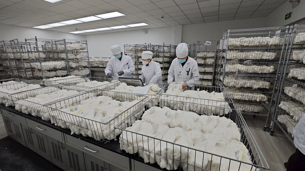 阿拉尔实验室公检量突破30万吨大关  较去年同期增长68%