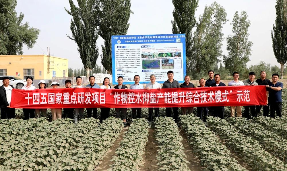 中国工程院院士康绍忠率队赴十一团一连考察国家重点研发计划项目示范进展情况