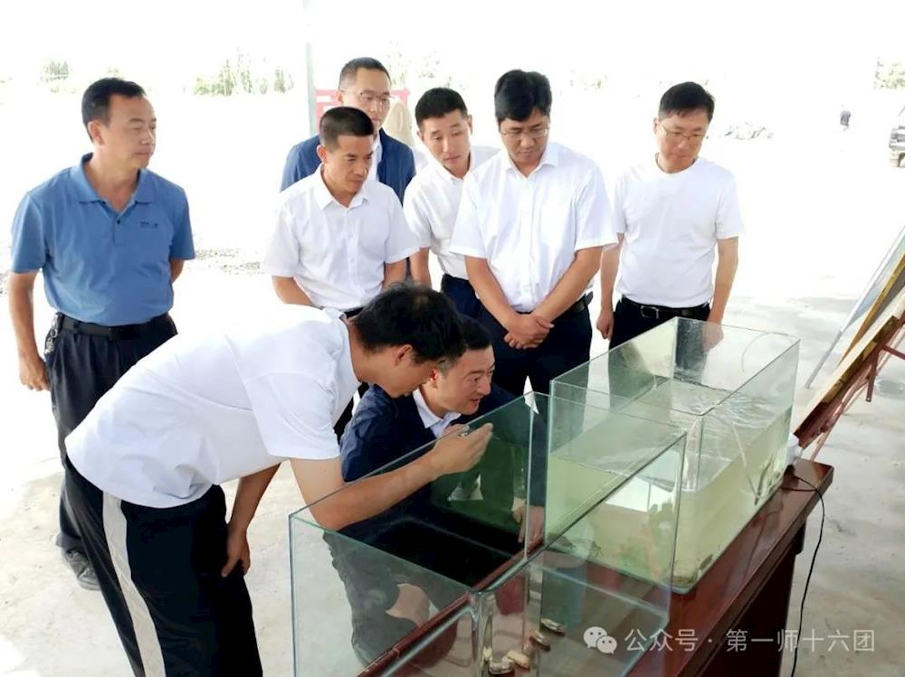 宁波援疆指挥部杨勇一行赴十六团调研指导工作