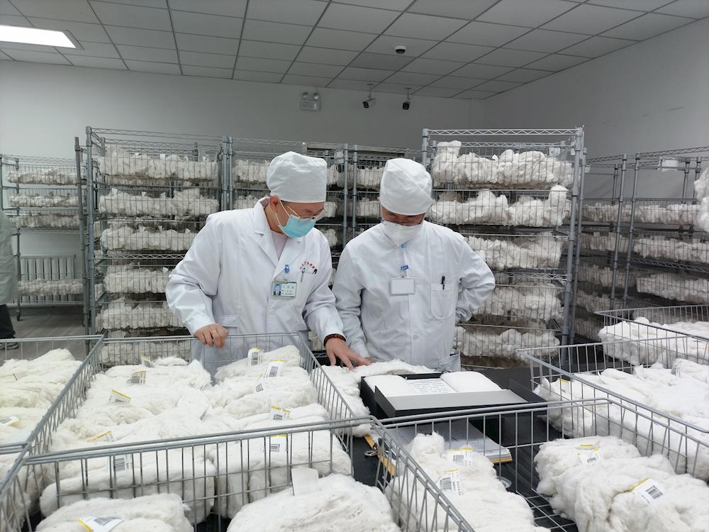 一手智能化,一手抓进度 ——阿拉尔实验室已检棉花突破6万吨