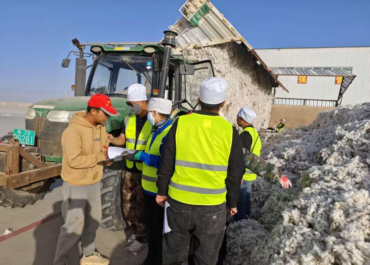 农垦集团柳源棉业28天打赢籽棉“收购战”