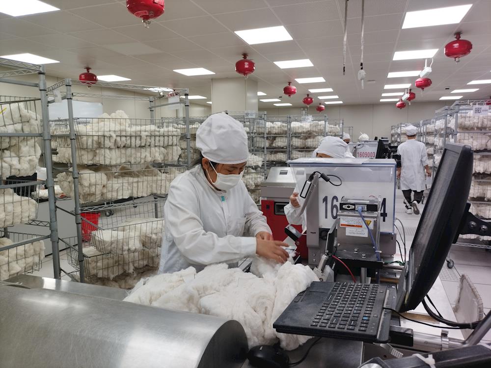 阿拉尔实验室2025-2026年度棉花公证检验量过半